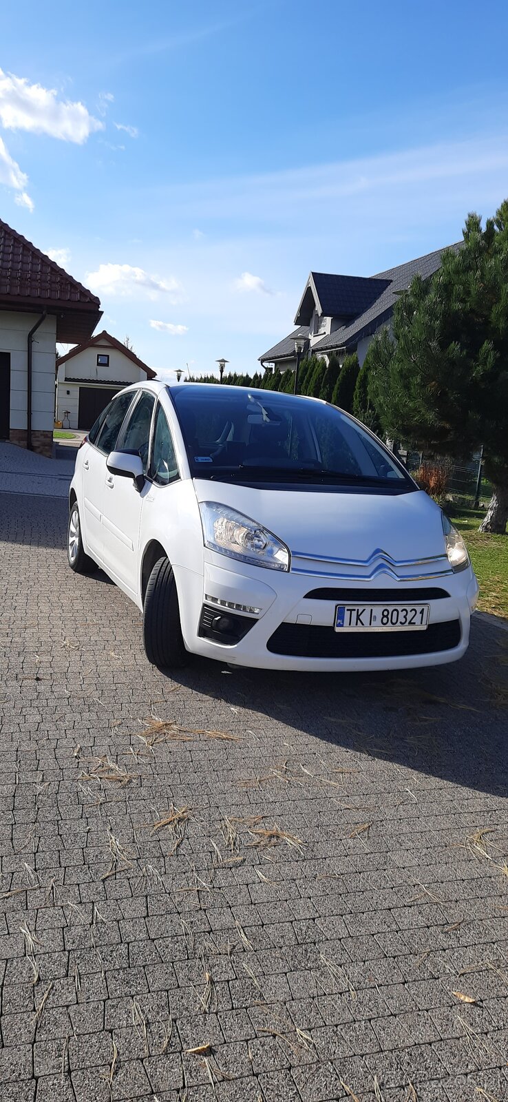 C4Picasso - 3