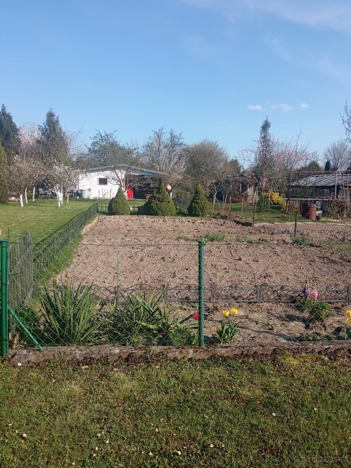 Sprzedam prawo do użytkowania działki ROD - 3