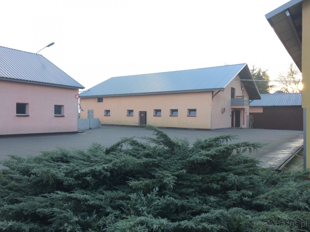 Sprzedam Gospodarstwo Rolne 126 ha - 3