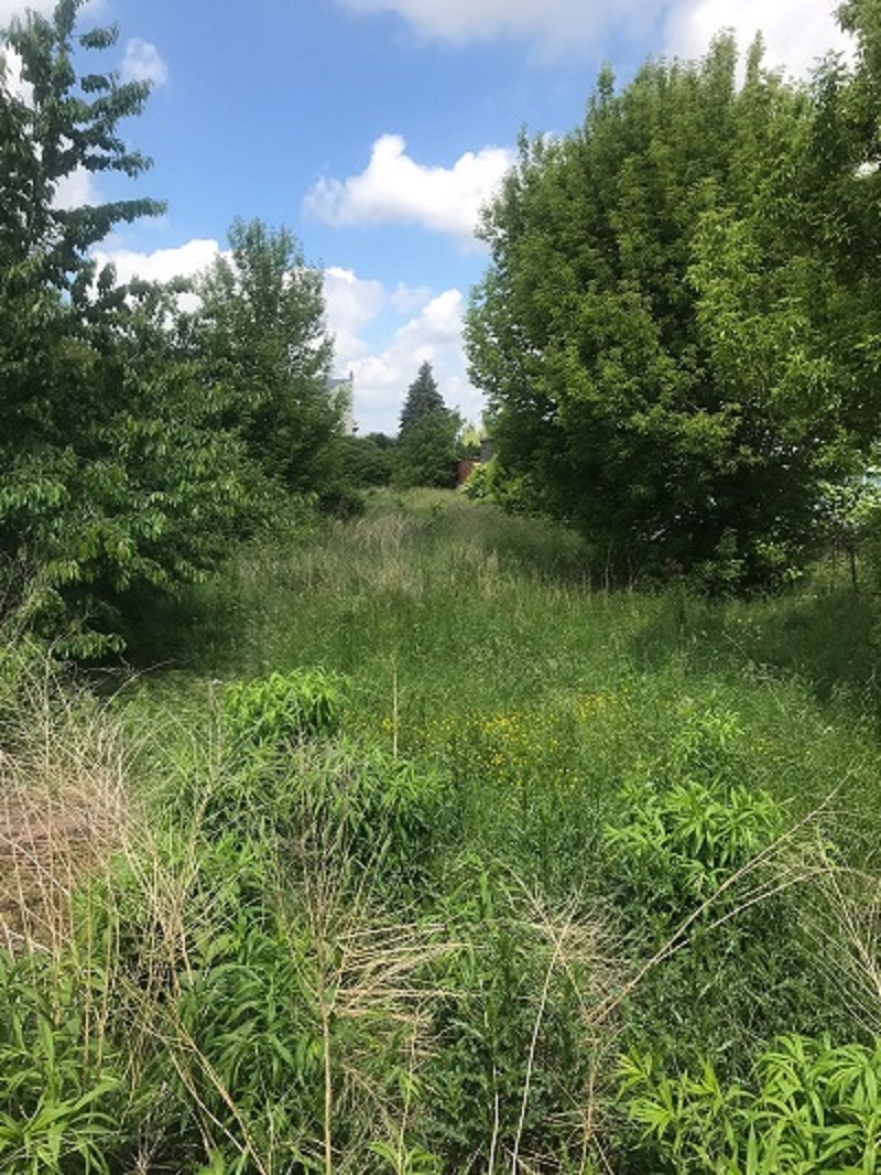 Działka budowlano-inwestycyjna 1523 m² – ul. Wrocławska, Kal - 3