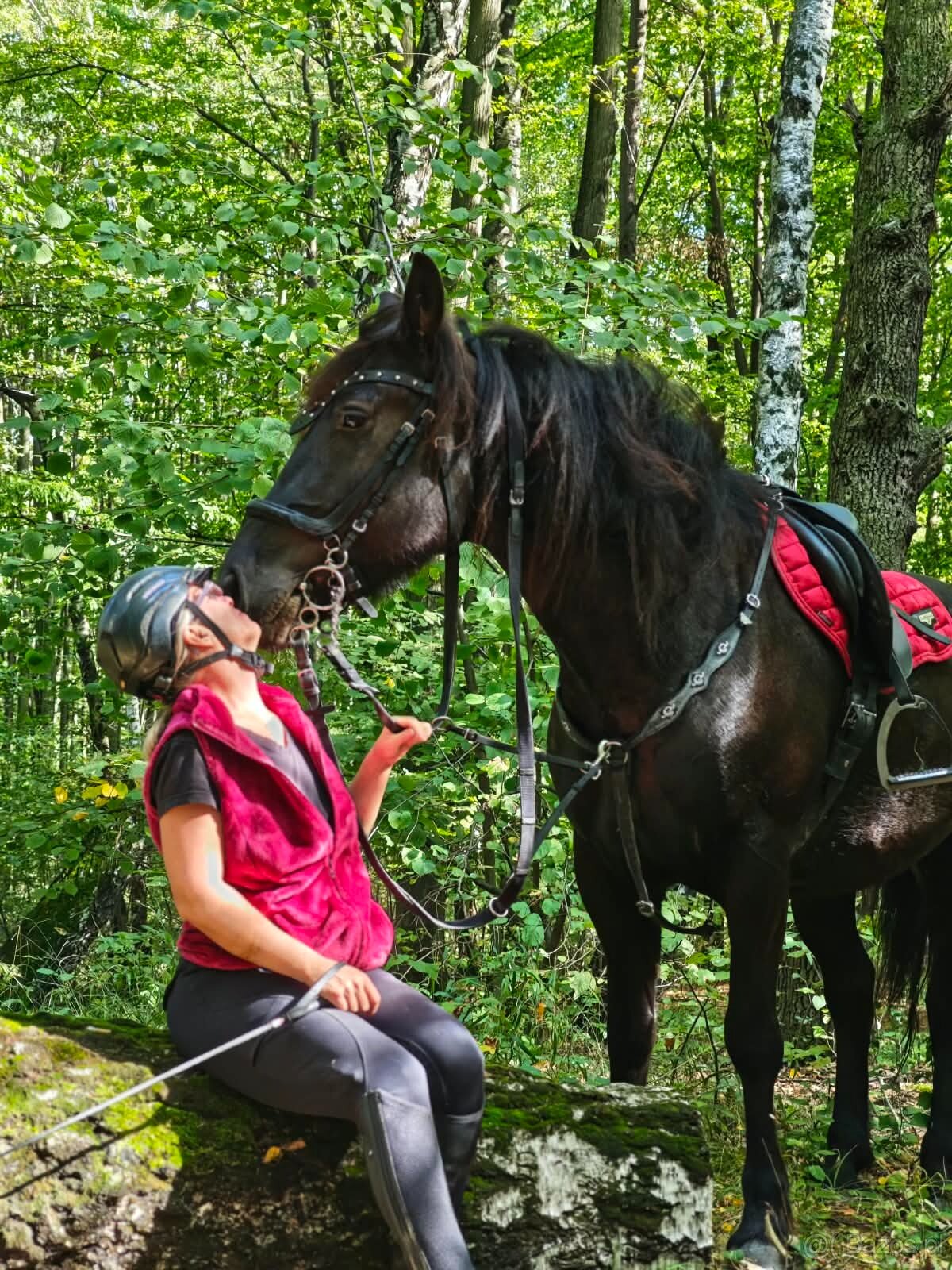 Oferuję piękną klacz. - 3