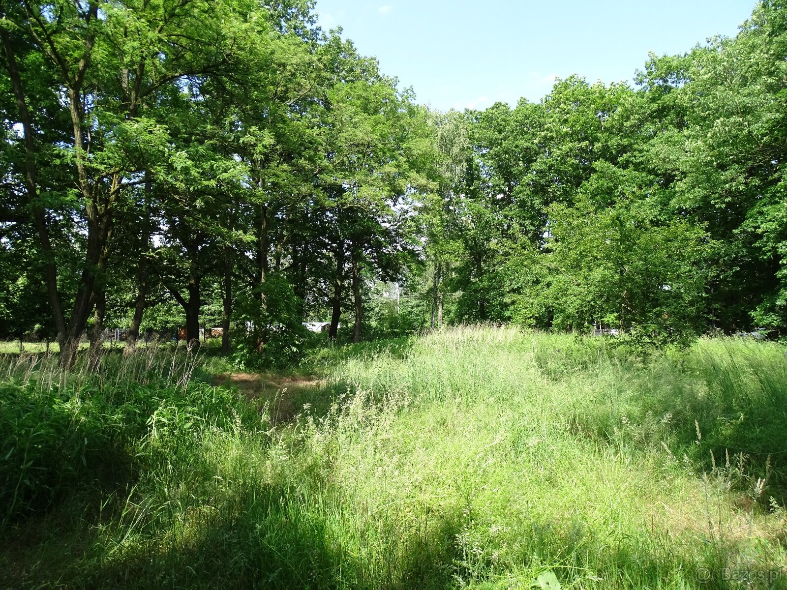 Działka pod inwestycję mieszkaniową, Zajączków - 3