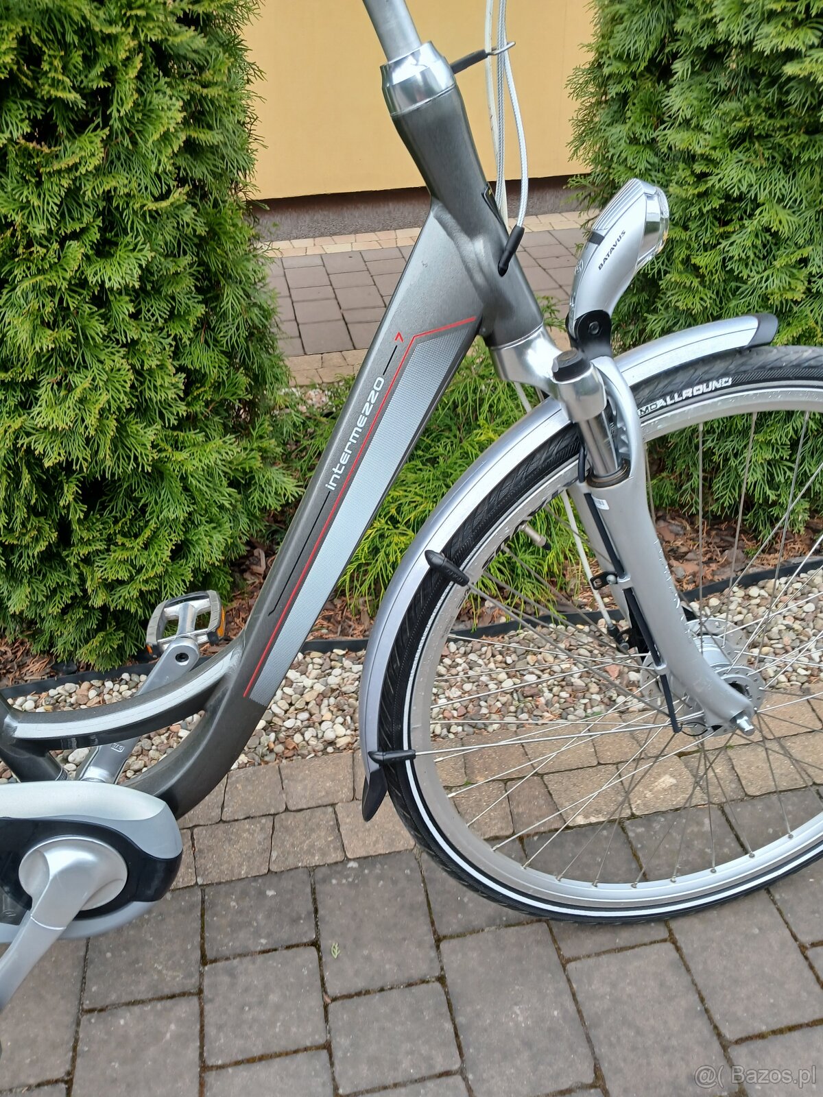 Rower holenderski Batavus - 3