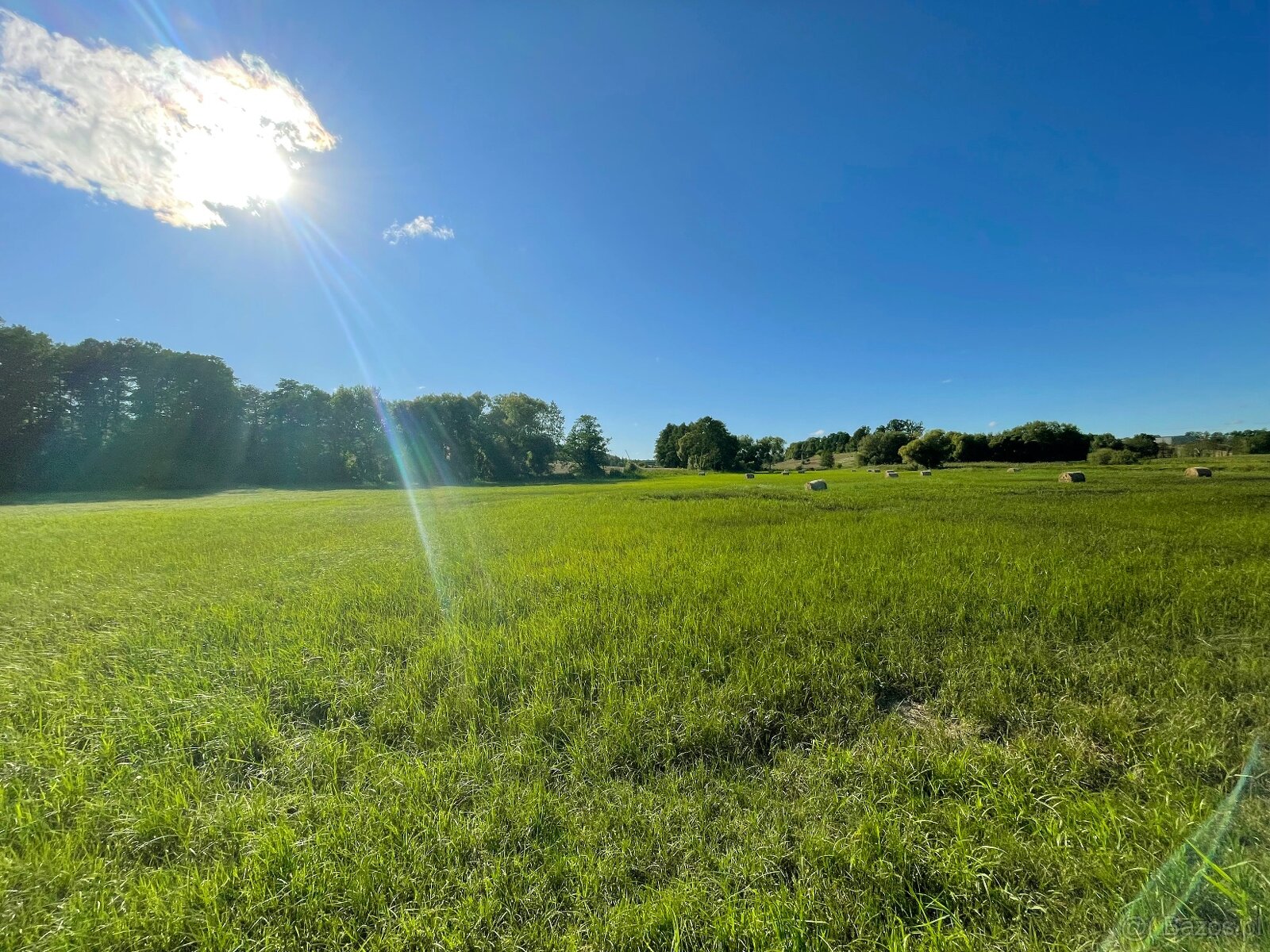 Sprzedam cztery działki w Idzbarku z linią brzegową rzeki - 3