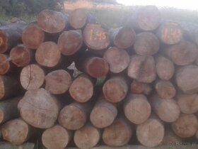 Drewno opałowe bukowe - 3