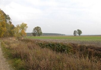 Działka budowlana 4200 m² – Zbiersk, gm. Stawiszyn - 3