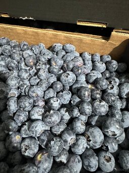 Import owoców i warzyw - 3