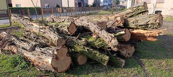 Drewno opałowe – akacja, grube pnie 4–6 m, ok. 10 m³ - 3