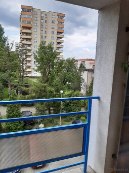 pokój dla dziewczyny w mieszkaniu studenckim GrotaRowieckieg - 3