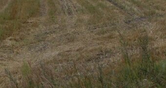 Działka budowlana o powierzchni 3261m2, Stobno - 3