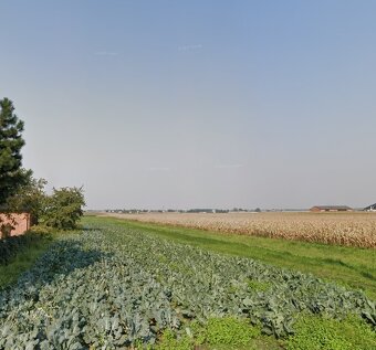 Grunt rolny 2,07 ha, Kolonia Skarszewek - 3