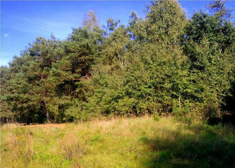 Ostrówek, Dąbrówka, Wołomin, Mazowieckie - działka budowlana - 3