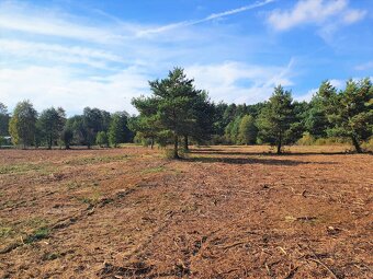 Działka Rolno-Rekreacyjna 3000m2 przy Puszczy Bolimowskiej - 3