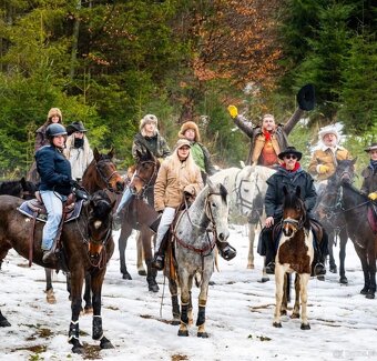 Atrakcyjny wałach - 3