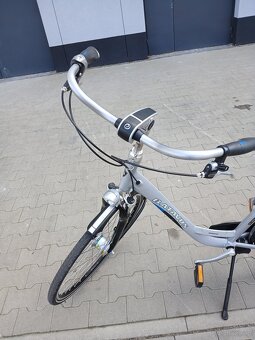 Rower holenderski Batavus - 3