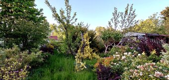 SPRZEDAM  Działkę ogrodową w Słupsku 447m². - 3