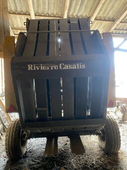 Belownica Riviere Casalis - 3