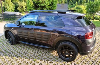C 4 cactus - 3