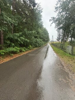 Działka leśna - 3