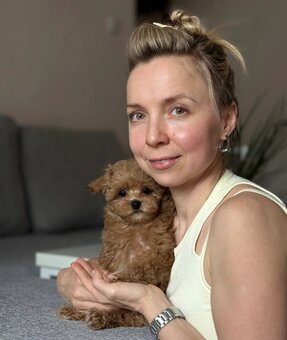 Dostępne szczenięta rasy Maltipoo (samce). - 3