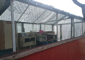 Szklarnia szklarnia ogrodowa  do negocjacji - 3