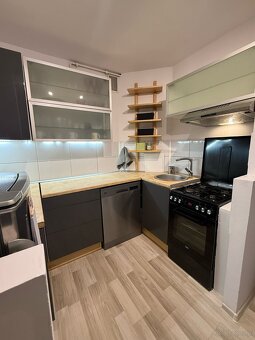 2 pokoje parter Poznań Grunwald - 3