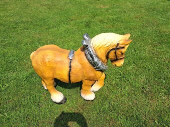 Sprzedam konika ogrodowego - 3