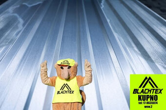 Mega okazja Blacha trapezowa OCYNK - 3