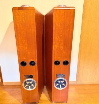TANNOY Dimension 10 ( Price : 1400 EUR ) - 3