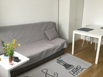 Wynajmę bezpośrednio mieszkanie 19m2 - 3