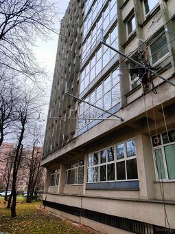 Kompleksowe ogrodnictwo, pielęgnacja i wycinka drzew - 3