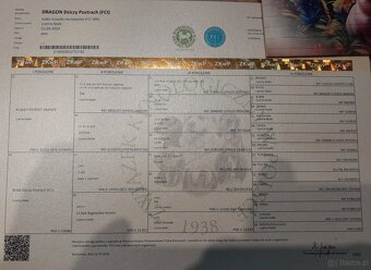 Pies łajka rosyjsko-europejska ZKWP FCI - 3