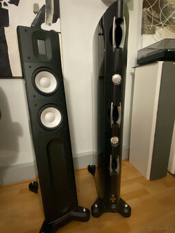 RAIDHO ACOUSTICS C2.2  ( Price: 4500 EUR ) - 3