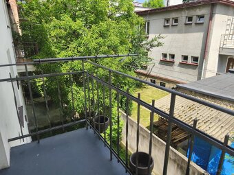 Bezczynszowe mieszkanie w zadbanej kamiennicy - 3