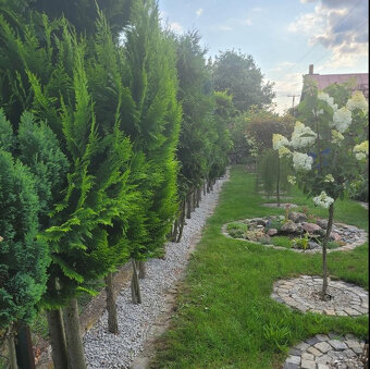 Działka rekreacyjna - 3