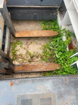 🔥BAUMAN GX60 | 2000r. | 30 000 zł 🔥 - 3