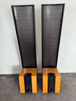 Martin Logan Spire ( Price: 1800 EUR ) - 3
