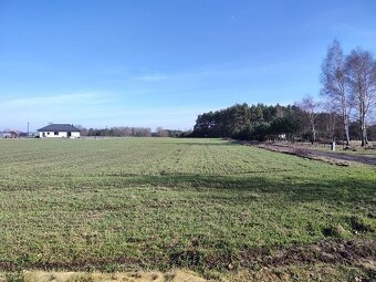 Działka budowlana o pow. 950m2, gm. Ceków Kol. - 3