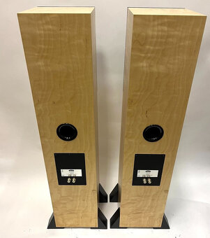 Neat Acoustics Orkestra ( Price: 2000 EUR ) - 3