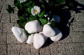 Kamień ogrodowy dekoracyjny - 3