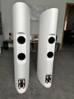 Dali Epicon 6 ( Price : 2800 EUR ) - 3