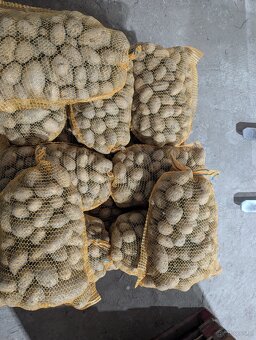 Prodám brambory - 3