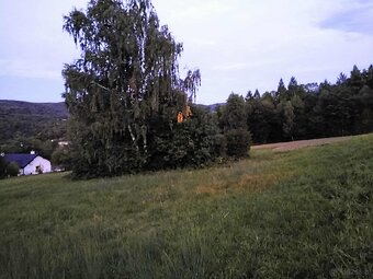 Działka w Beskidzie Niskim- Twoje miejsce na relaks i spokój - 3