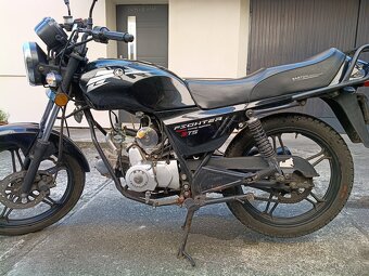 Barton dafier - 3