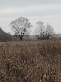 Sprzedaz dzialki - 3