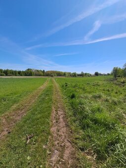 Działka budowlana o powierzchni 2800m2, Borek - 3