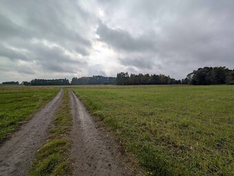 Działki rolne o pow. 1700m², 2581m2, 3088m², Strzałków - 3