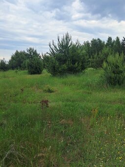 Działki budowlane w Planie ogólnym, 1040m2, Młynisko - 3