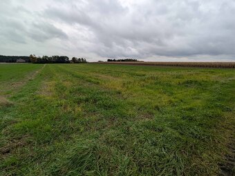 Działka rolna o powierzchni 7393m², Nadzież - 3