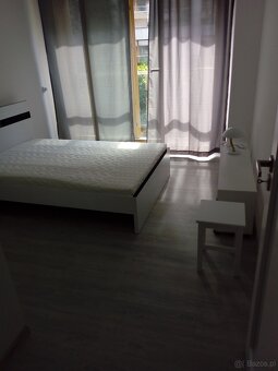 Do wynajęcia dwupokojowe 37 m2 - 3